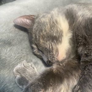 Meet your Posher, Lindsey